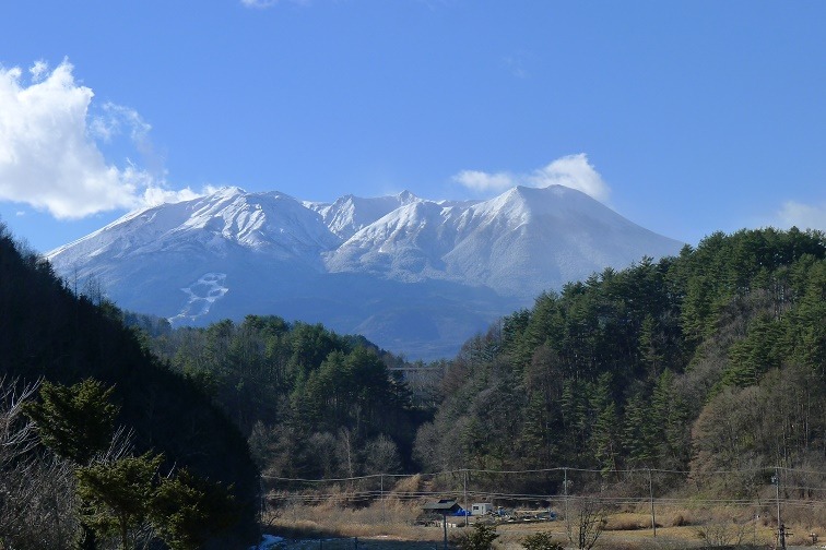 a0130586_1537051.jpg