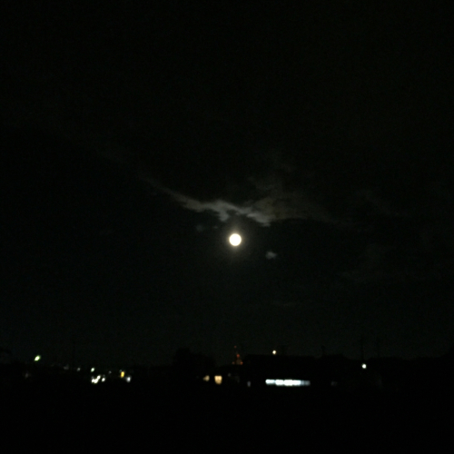 c0344487_22191628.jpg