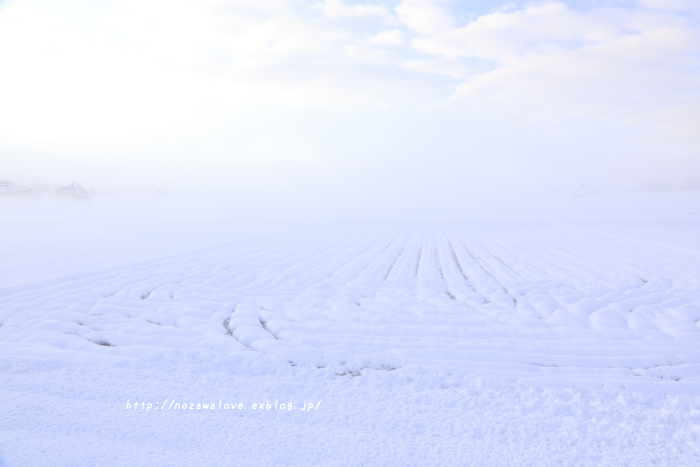 e0162089_10515358.jpg