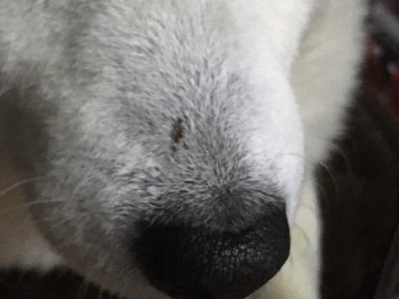 c0123890_20101326.jpg