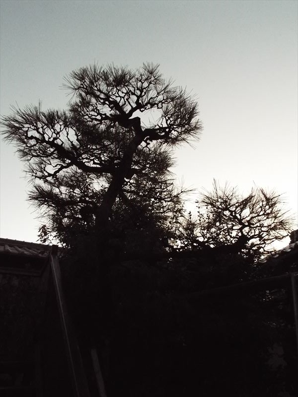 c0108198_17424162.jpg