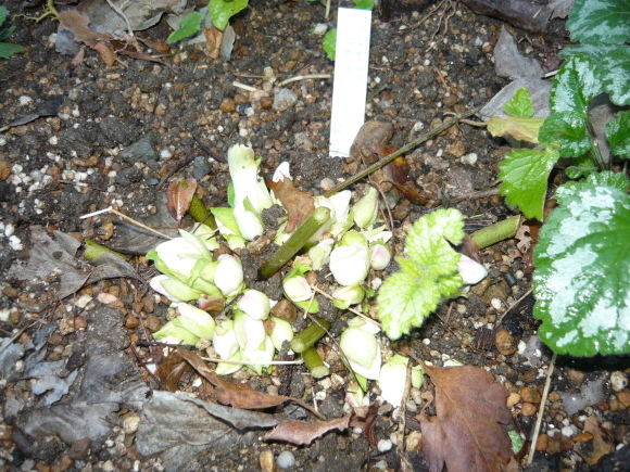 a0139007_17285085.jpg