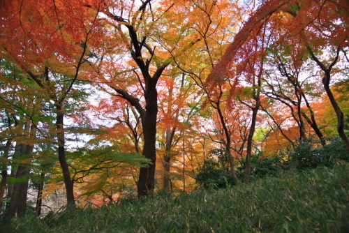 a0263109_15211616.jpg