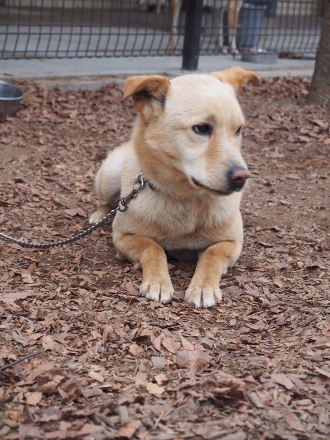 f0078320_1025148.jpg