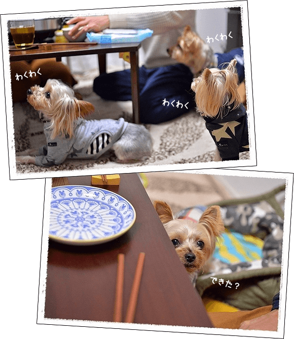 d0179828_01400204.png