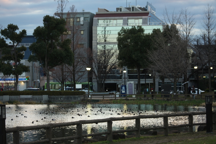 a0214329_11573136.jpg