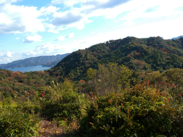 e0272335_161328.jpg
