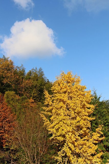 a0242438_21044356.jpg