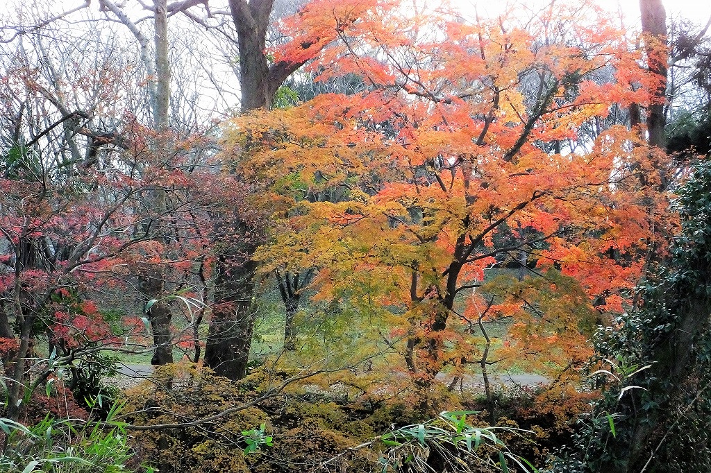 b0236251_1130106.jpg