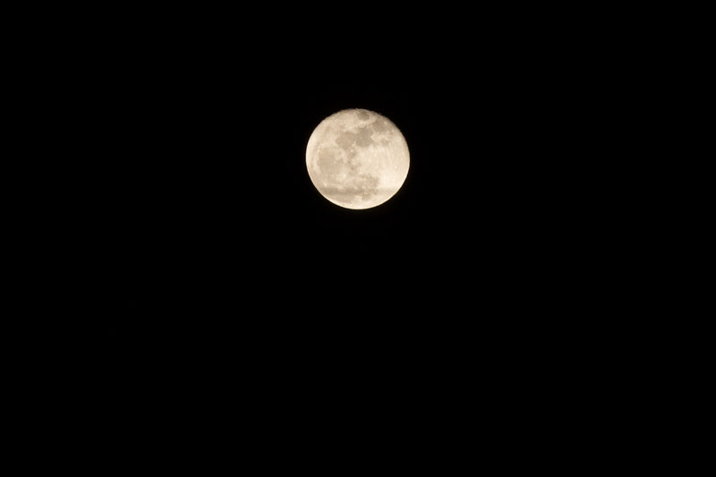 d0342652_1620134.jpg