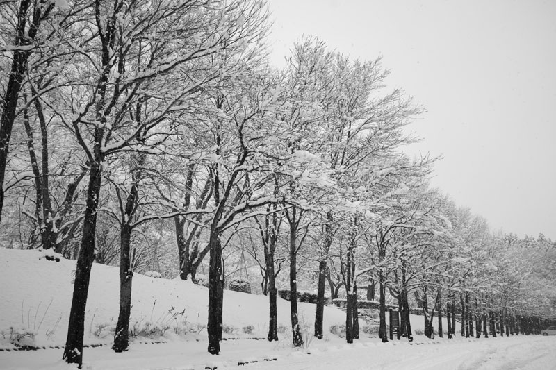 d0342652_16321415.jpg