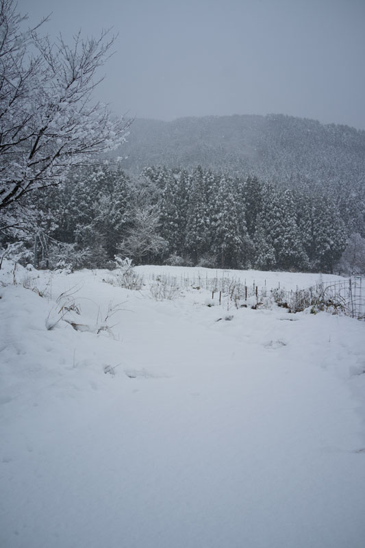 d0342652_1636298.jpg