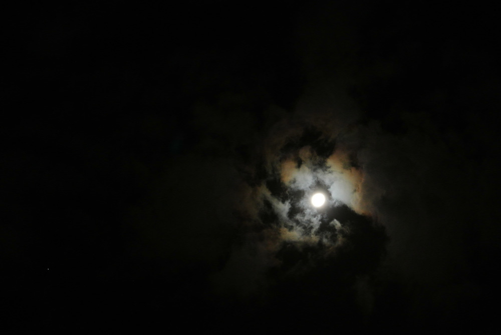 c0350853_07094769.jpg