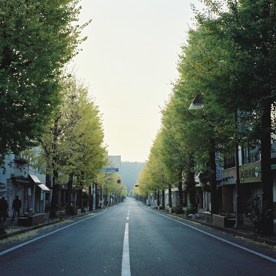 e0264158_12425522.jpg