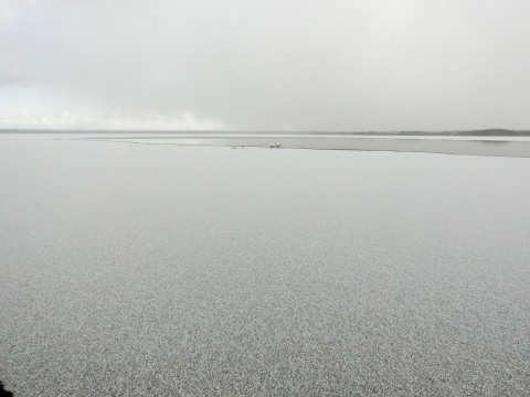 e0045768_21515054.jpg