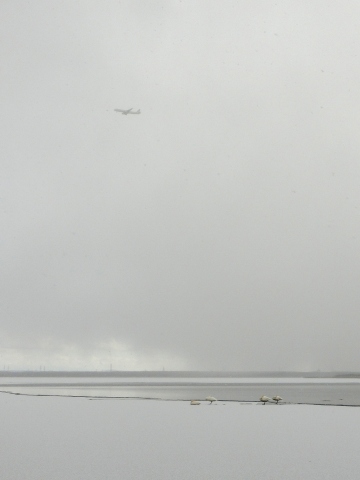 e0045768_21531990.jpg