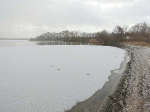 e0045768_21543243.jpg