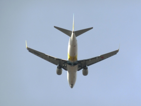e0045768_2255966.jpg