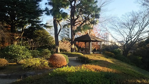 e0020682_1713783.jpg