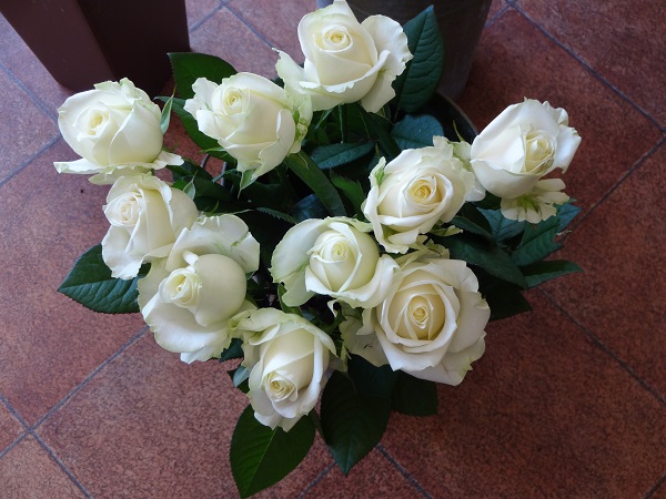 e0140986_1362635.jpg