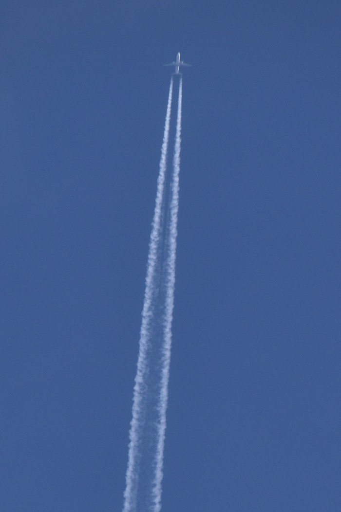 c0049299_22440238.jpg