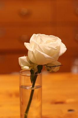 e0209900_14285761.jpg