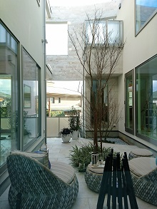 d0091909_5264441.jpg
