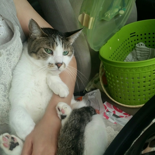 e0144012_03112918.jpeg