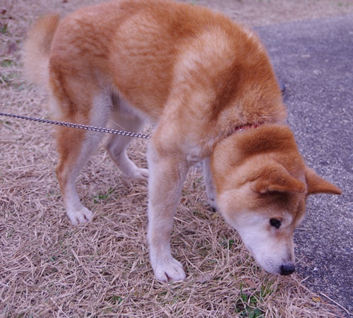 f0078320_0491818.jpg