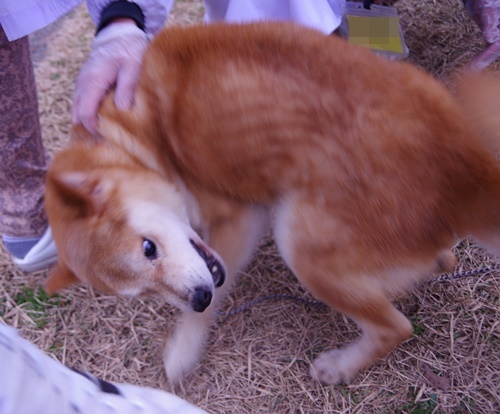 f0078320_150716.jpg