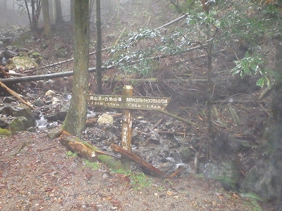f0193521_7405524.jpg
