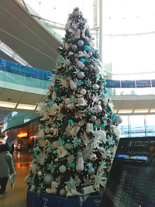 f0354923_20024727.jpg