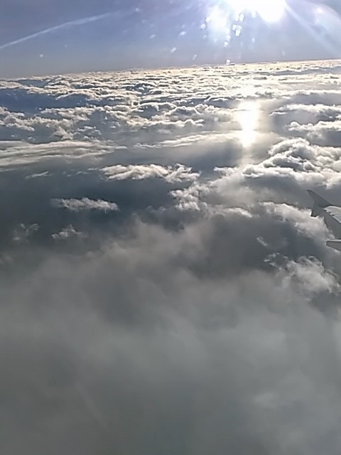 f0354923_20055543.jpg
