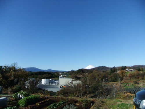 b0137932_17251290.jpg