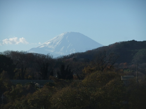 b0137932_1746475.jpg