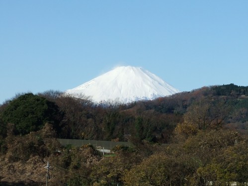 b0137932_1757569.jpg
