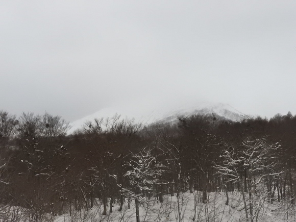 f0118332_21421786.jpg