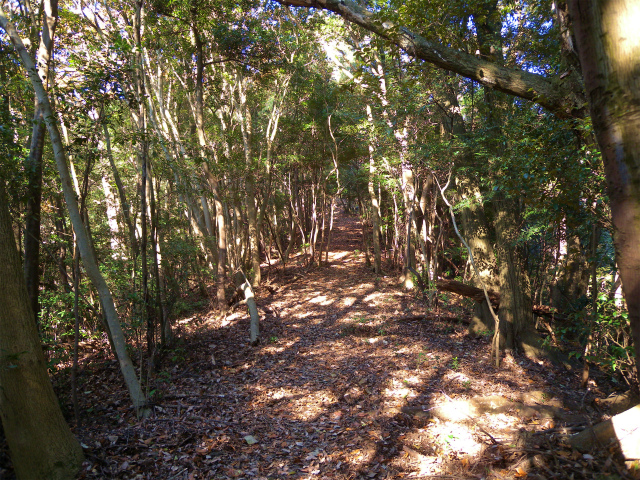e0272335_18182276.jpg