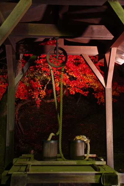 b0247838_11235911.jpg