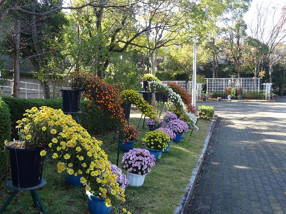 b0299042_7464621.jpg