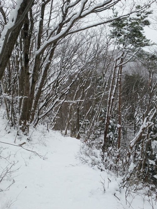 e0239458_19100650.jpg