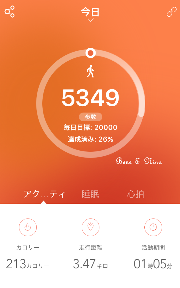 c0283778_10230348.png