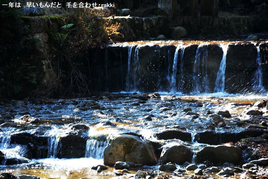 e0360589_20142865.jpg