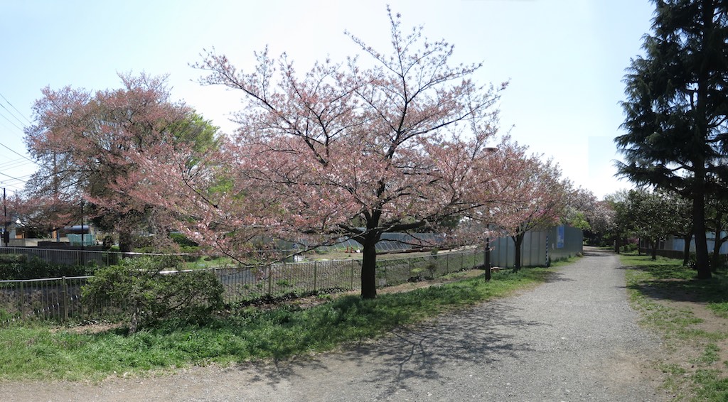 e0176691_0294244.jpg