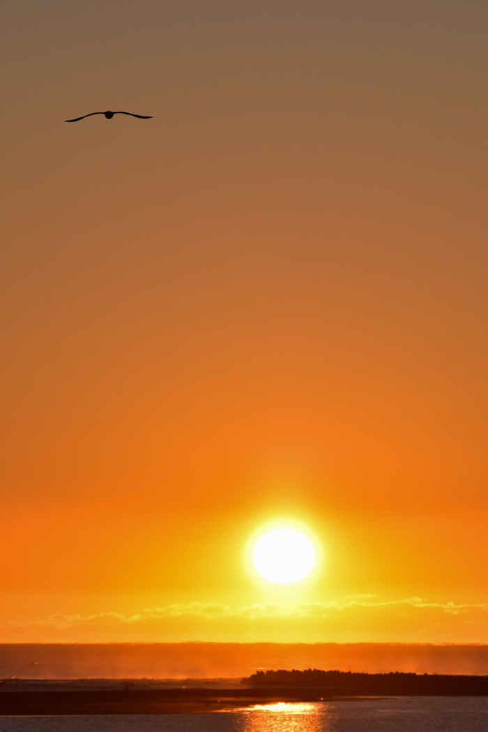c0049299_21102396.jpg