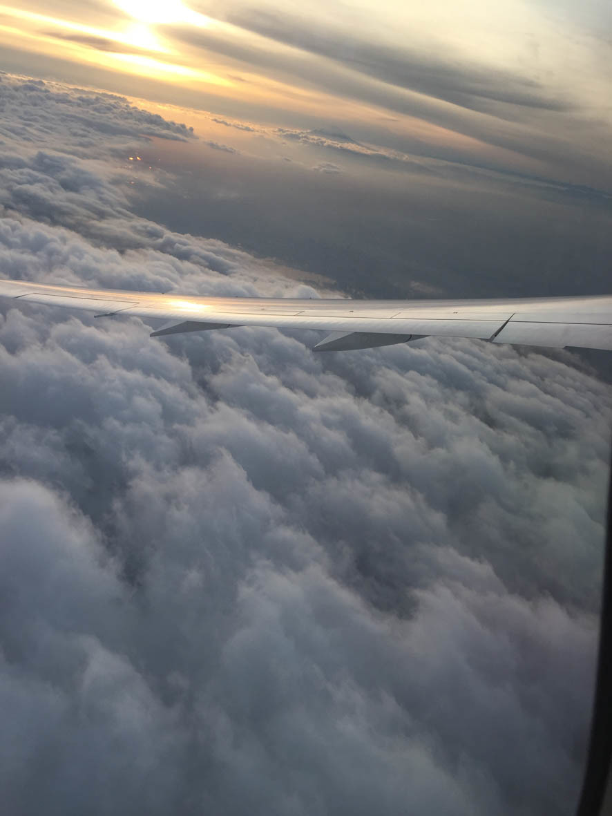 e0064400_00354800.jpg