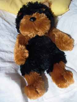 e0001110_13263686.jpg