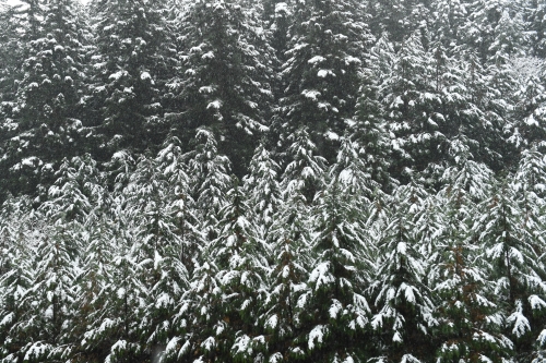 c0168815_2123166.jpg