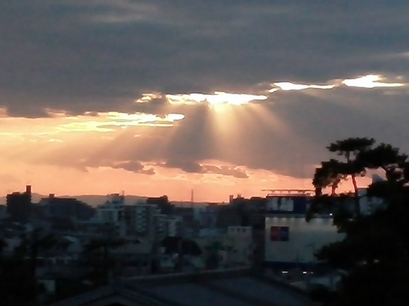 e0083517_10232573.jpg