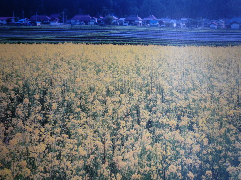 c0189218_15583939.jpg